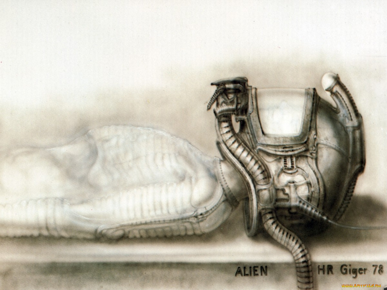 , giger